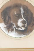 A pastel portrait of a dog, 7½" diameter, the back annotated 'April 1870, H Sadler'