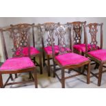 A set of six Chippendale style mahogany chairs with carved rails and pierced and carved splats,