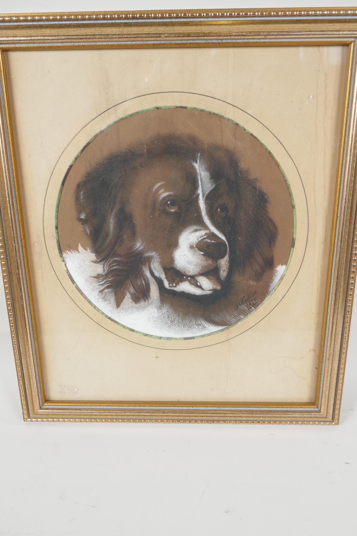 A pastel portrait of a dog, 7½" diameter, the back annotated 'April 1870, H Sadler' - Image 2 of 3