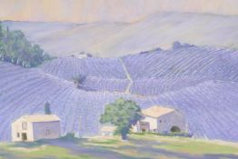 Peter Furst, Lavender Fields, pastel on paper, 19" x 12"
