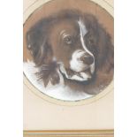 A pastel portrait of a dog, 7½" diameter, the back annotated 'April 1870, H Sadler'