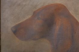H Crowther, portrait of an Irish Setter dog, oil on canvas, signed and dated 1913, bears label verso