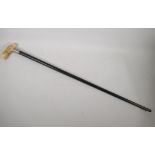 An ebonised walking cane with bone handle and hallmarked silver ferrule, 34½" long