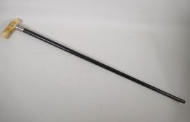 An ebonised walking cane with bone handle and hallmarked silver ferrule, 34½" long