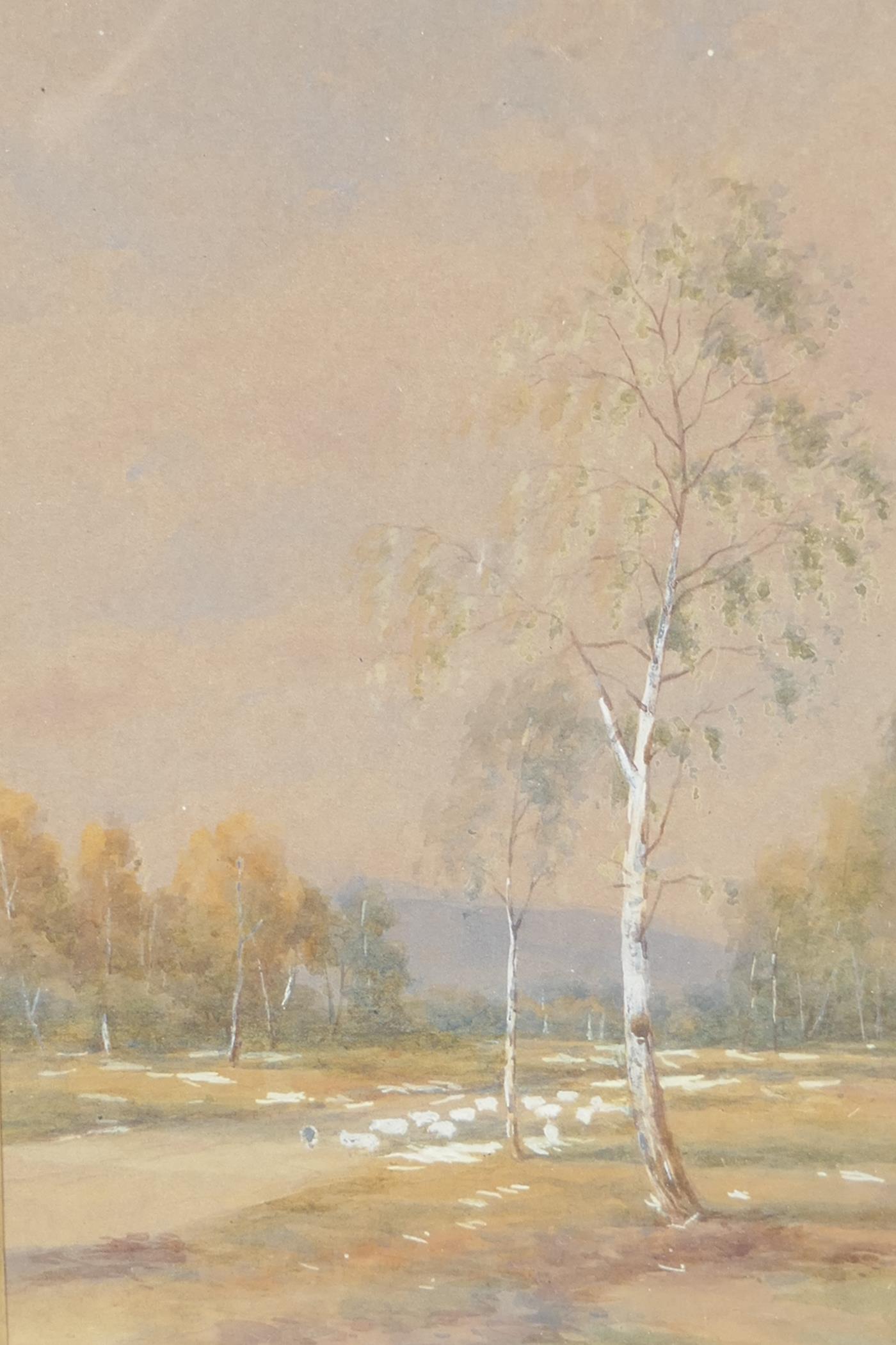 W.M Watt, watercolour, silver birch trees in a landscape, signed, titled on mount "On the Grafton