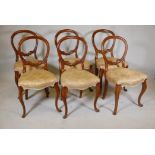 A set of six Victorian walnut balloon back chairs, with carved details. 34" high