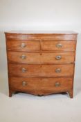 Regency mahogany bowfront chest with crossbanded top and figured frieze over two plus three