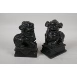 A pair of Chinese carved black soapstone fo-dogs, 6" high