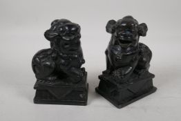 A pair of Chinese carved black soapstone fo-dogs, 6" high