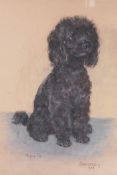 Marjorie Cox, Smokey, 1964, pastel portrait of poodle, 17" x 18½"