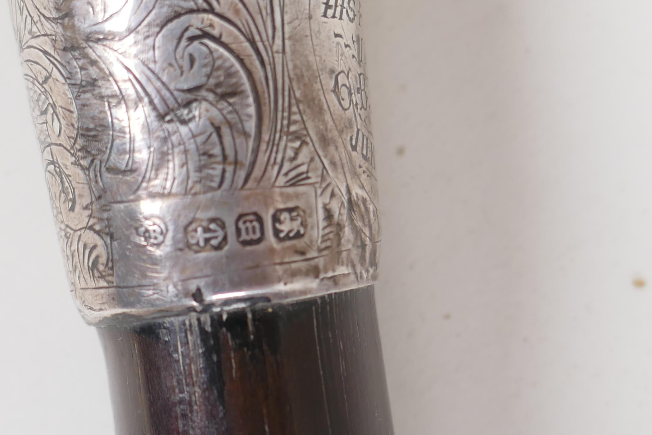 An ebonised walking cane with bone handle and hallmarked silver ferrule, 34½" long - Image 3 of 3