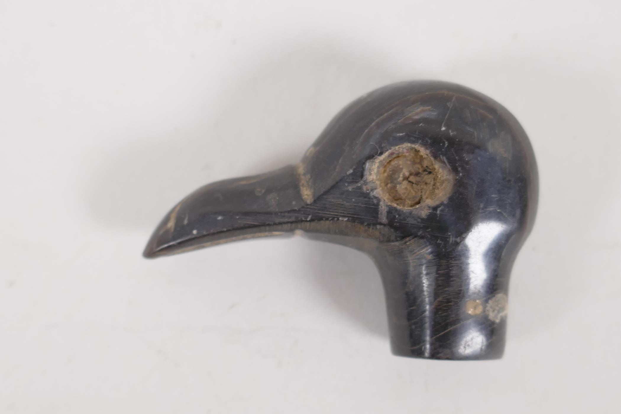 A small C19th horn parasol handle, carved as a birds head. 1½" long. AF