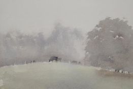 Cattle grazing in a misty landscape, signed T. Carr, unframed watercolour, 12" x 14"