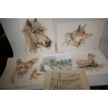 R. E Thornton, x4 unframed ink and wash drawings of animals. Largest 22' x 14". Together with a