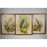Three studies of a heron, hawk and owl, signed Gordon, oils on panel, 15½" x 19½"