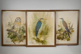 Three studies of a heron, hawk and owl, signed Gordon, oils on panel, 15½" x 19½"