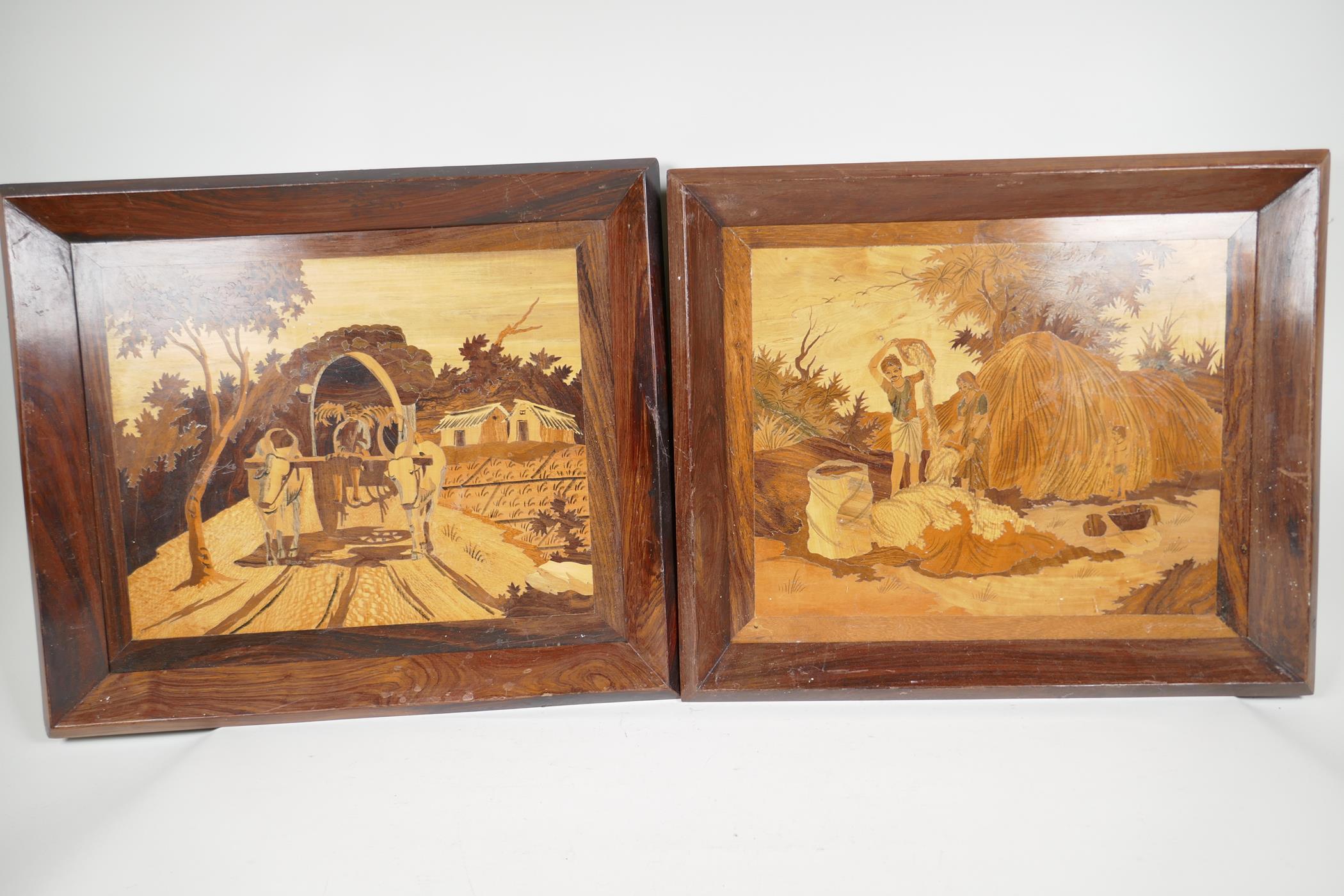 A pair of Indian marquetry inlaid panels depicting rural life, in rosewood frames, 17" x 14"