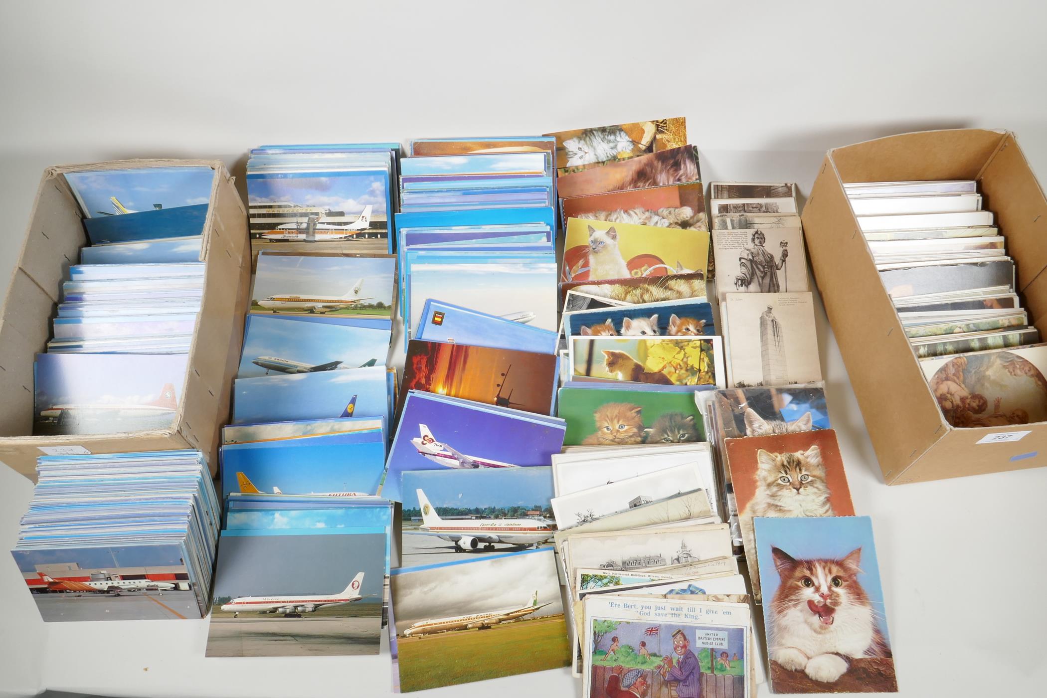 A quantity of assorted C19th & C20th postcards,  mostly aeronautical, art & cats, approx 1000