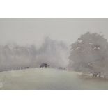 Cattle grazing in a misty landscape, signed T. Carr, unframed watercolour, 12" x 14"
