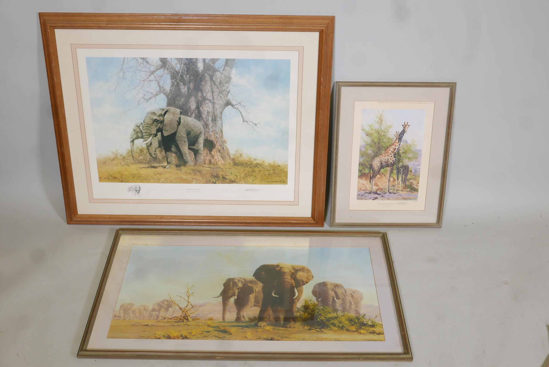 David Shepherd, two limited edition prints of African animals. 'Baobab & Friends', (112/950). And '
