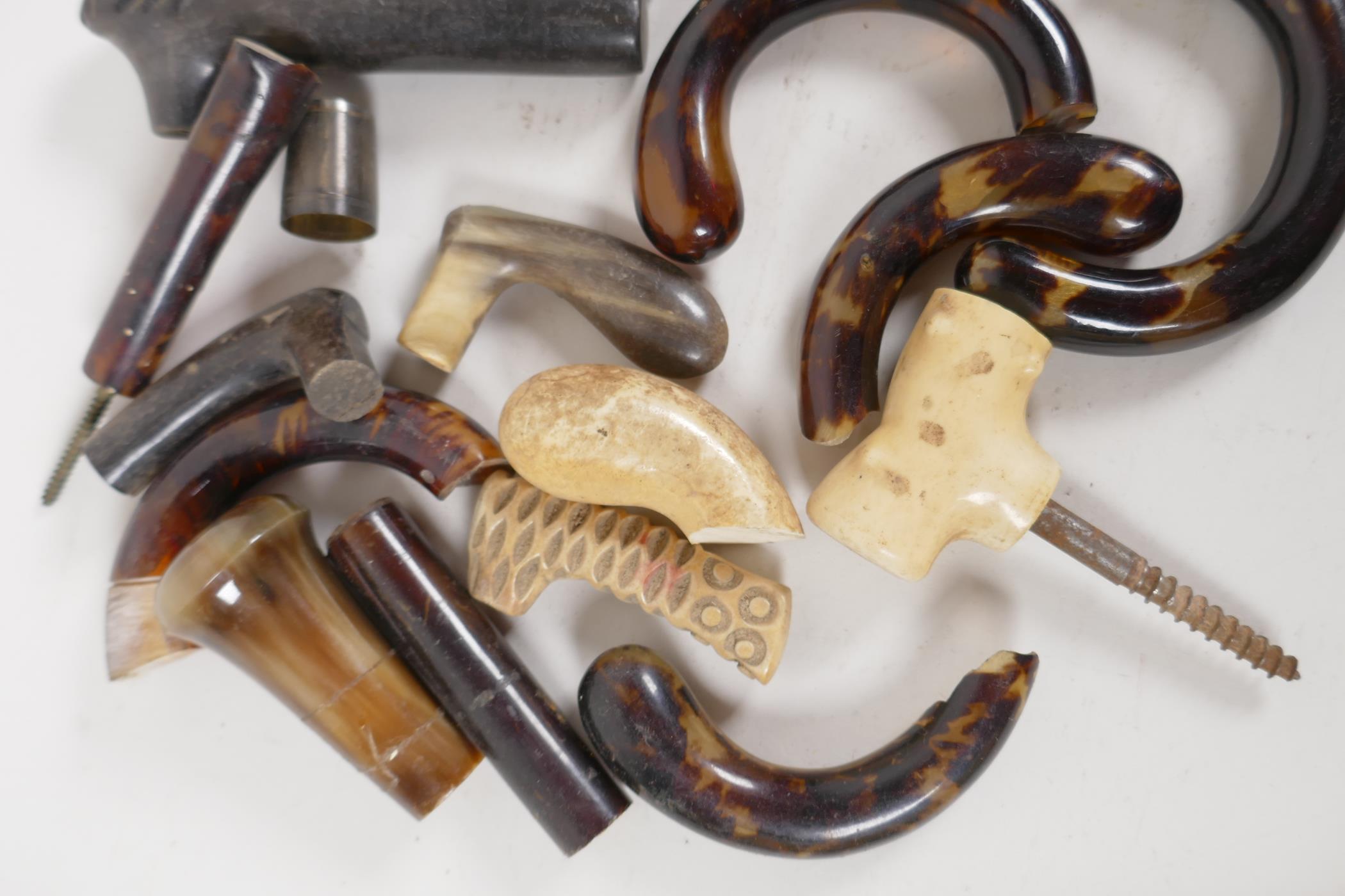 A box of horn cane and umberella handles, the majority AF - Image 3 of 4