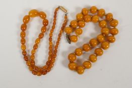 A butterscotch amber necklace of 28 beads together with a string of graduated amber beads, gross