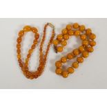 A butterscotch amber necklace of 28 beads together with a string of graduated amber beads, gross