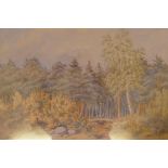 Clearing in a pine forest, signed G.H.S., dated 14?, watercolour, 19" x 14"