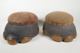 A pair of C19th taxidermy elephant feet foot stools, with fabric covered horse hair seats, 15"