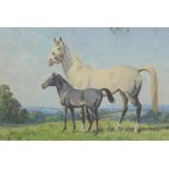 W. R Jennings, horse & colt in a landscape, oil on canvas. Board signed, labelled verso "Snowy &