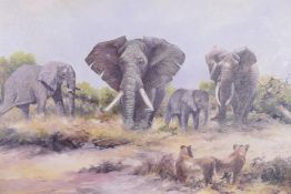 D. Oakes, African landscape with elephants, signed, oil on canvas board, 30" x 20"