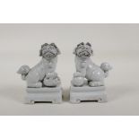 A pair of blanc de chine porcelain pen/brush holders in the form of temple lions, 5" high