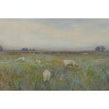 Sheep grazing in a meadow, monogrammed M.A.B. (Mildred A. Butler?) watercolour, 9" x 13½"