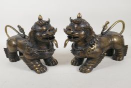 A pair of Tibetan bronze figures of lion dogs, 12" long