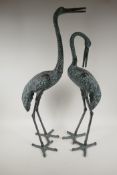 A pair of metal garden figures of cranes, largest 33" high