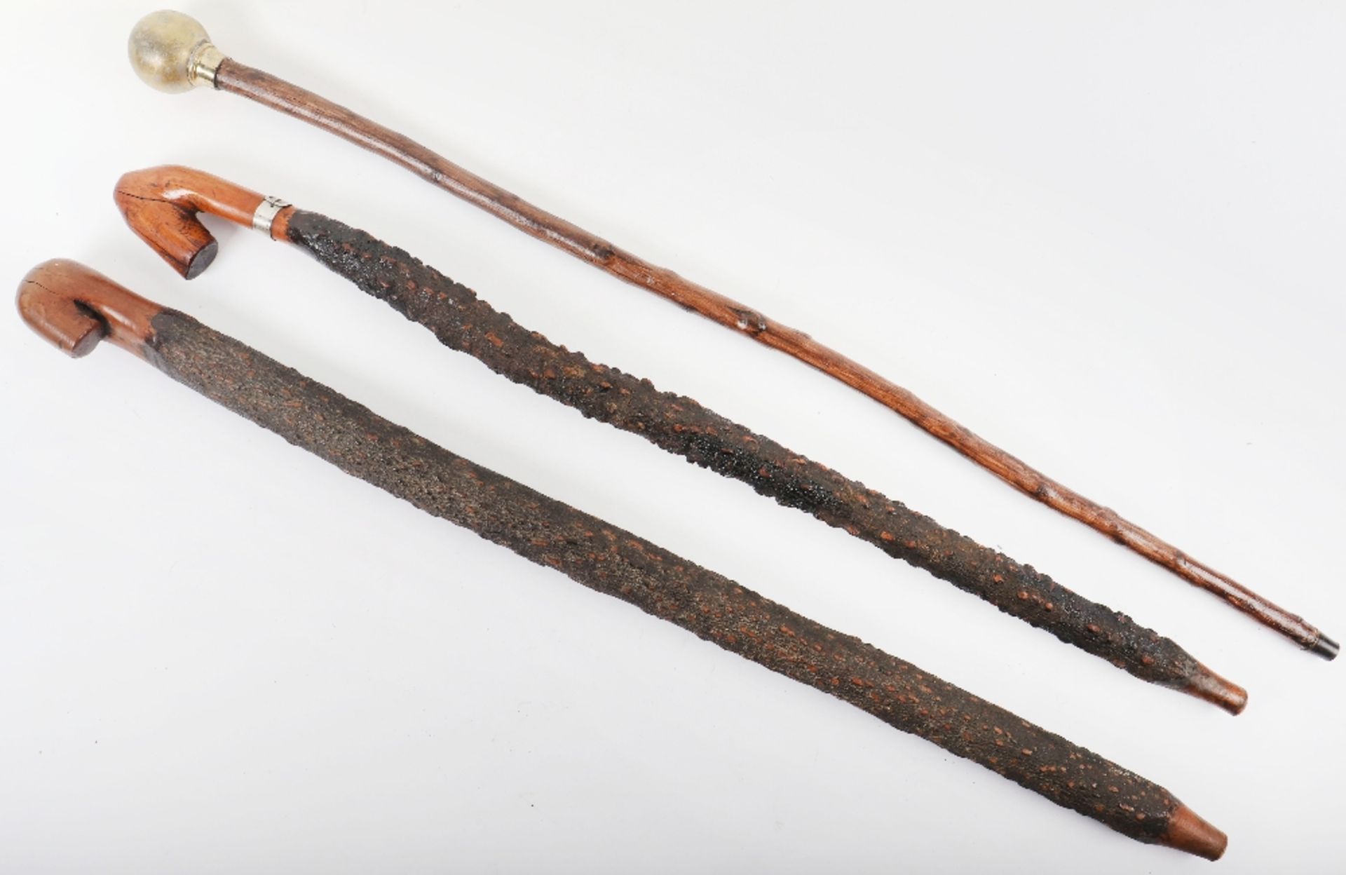 Two large and heavy naturalistic walking sticks with knobbly bodies, one with metal belt band