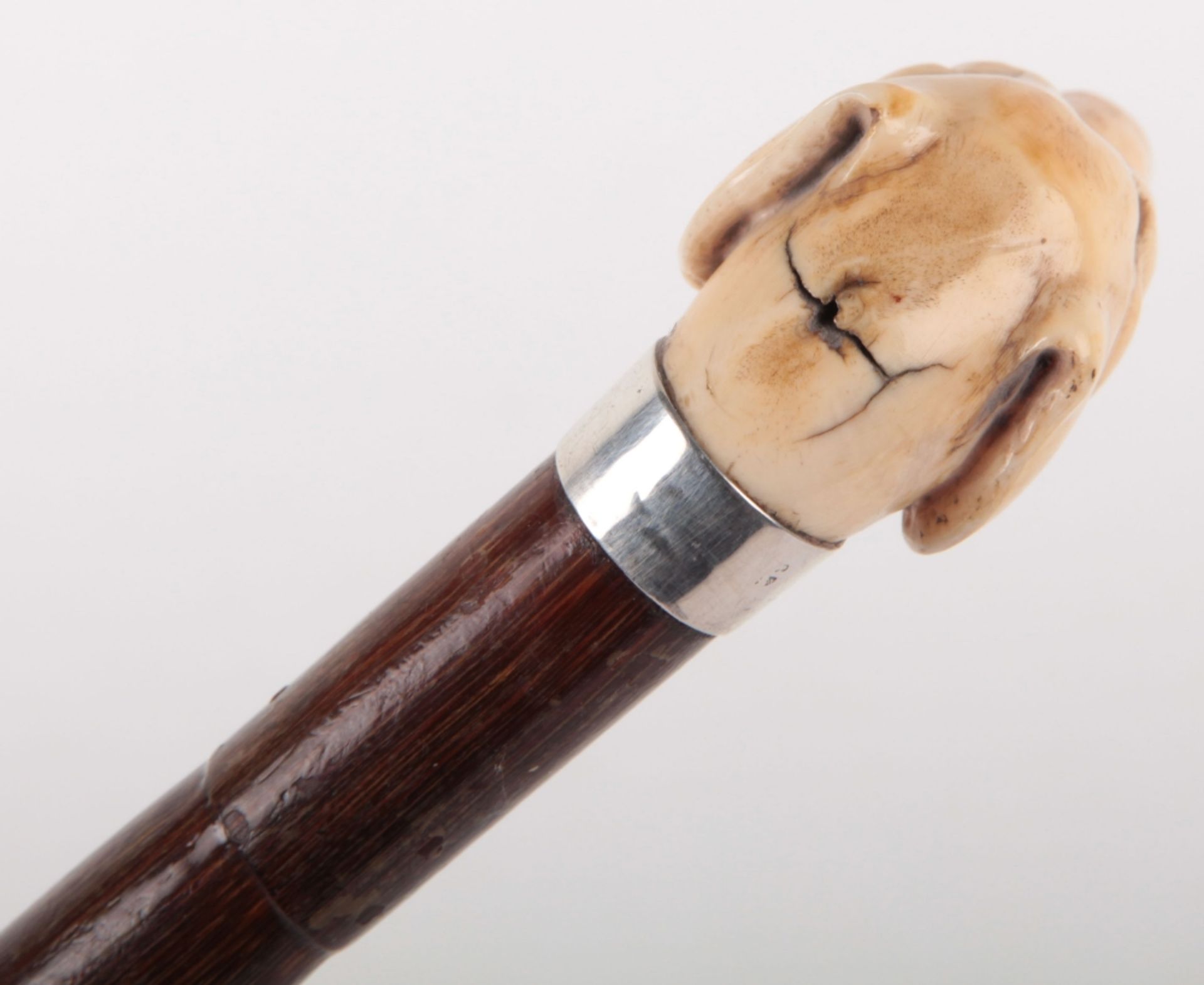 ^ Edwardian Walking Stick with Nicely Carved Ivory Dogs Head Handle - Image 4 of 9