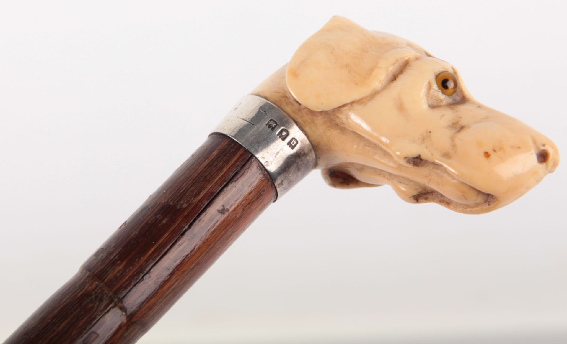 ^ Edwardian Walking Stick with Nicely Carved Ivory Dogs Head Handle - Bild 6 aus 9