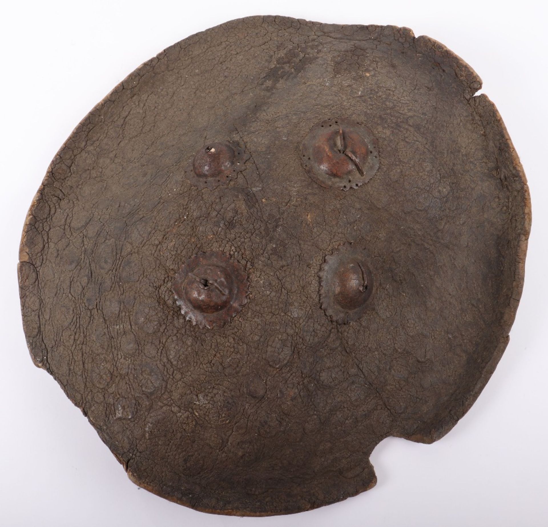 Indian Hide Shield Dhal, Probably 18th or 19th Century