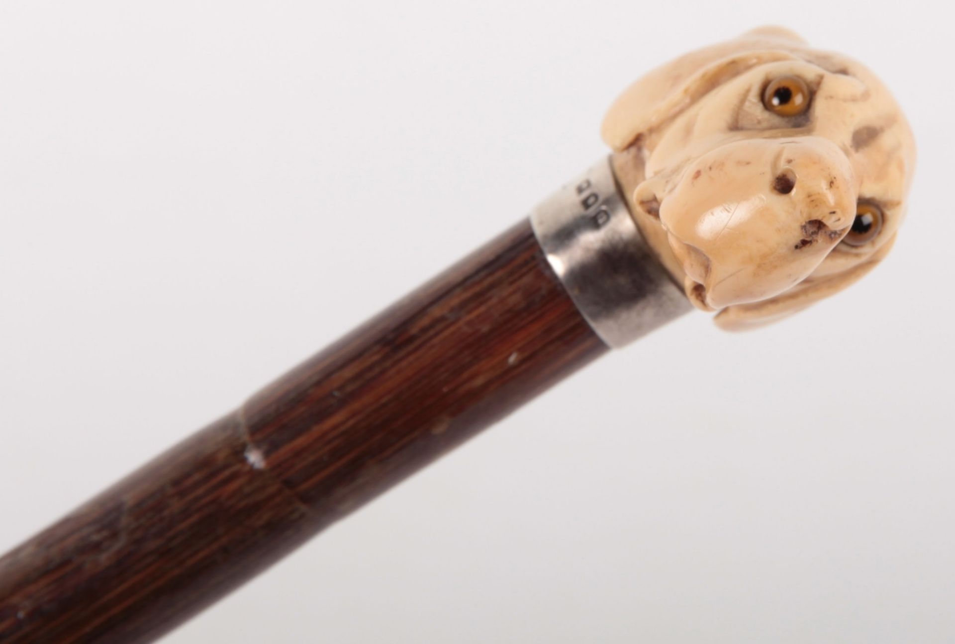 ^ Edwardian Walking Stick with Nicely Carved Ivory Dogs Head Handle - Image 5 of 9