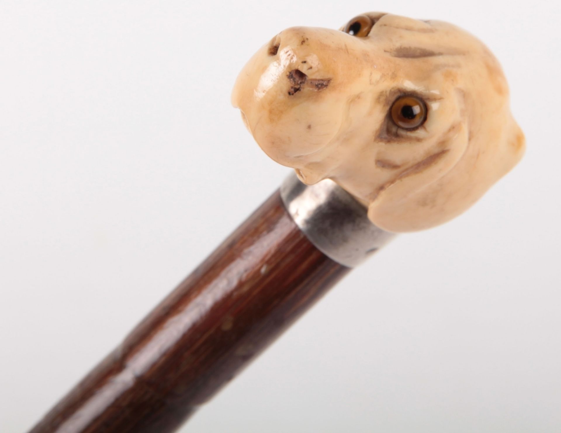 ^ Edwardian Walking Stick with Nicely Carved Ivory Dogs Head Handle - Bild 2 aus 9