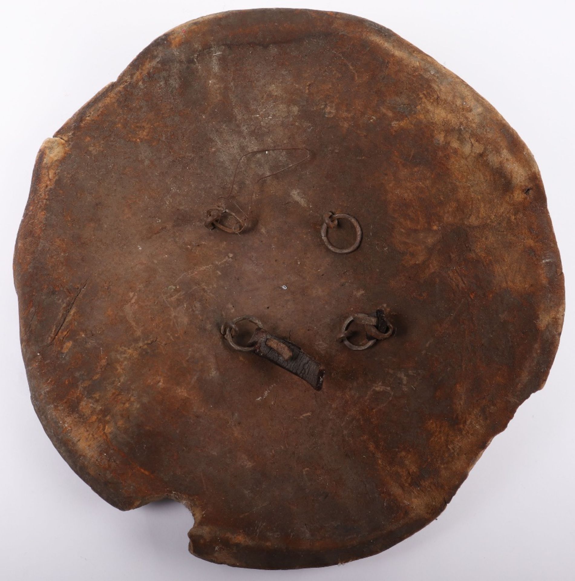Indian Hide Shield Dhal, Probably 18th or 19th Century - Image 7 of 8