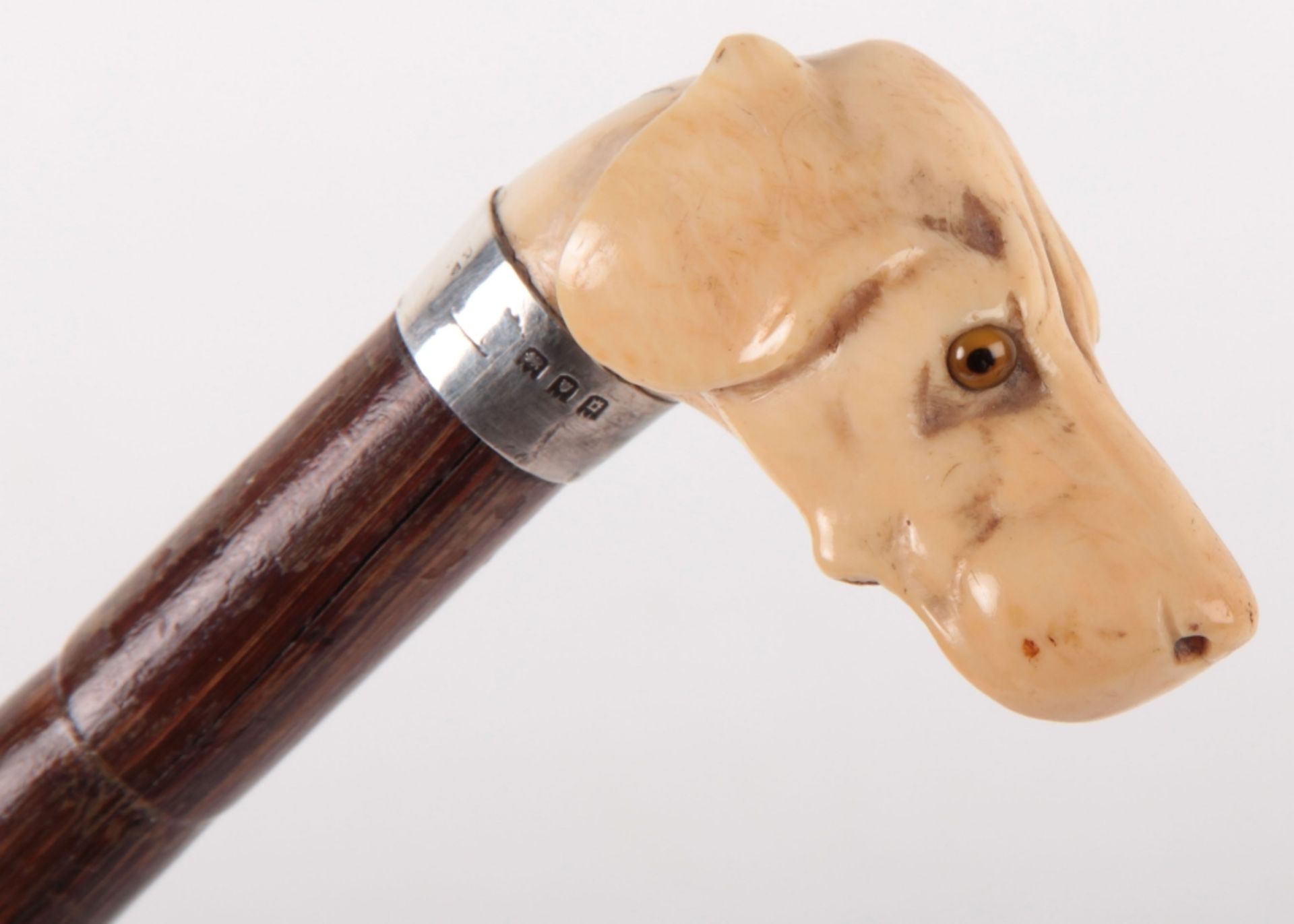 ^ Edwardian Walking Stick with Nicely Carved Ivory Dogs Head Handle - Image 3 of 9