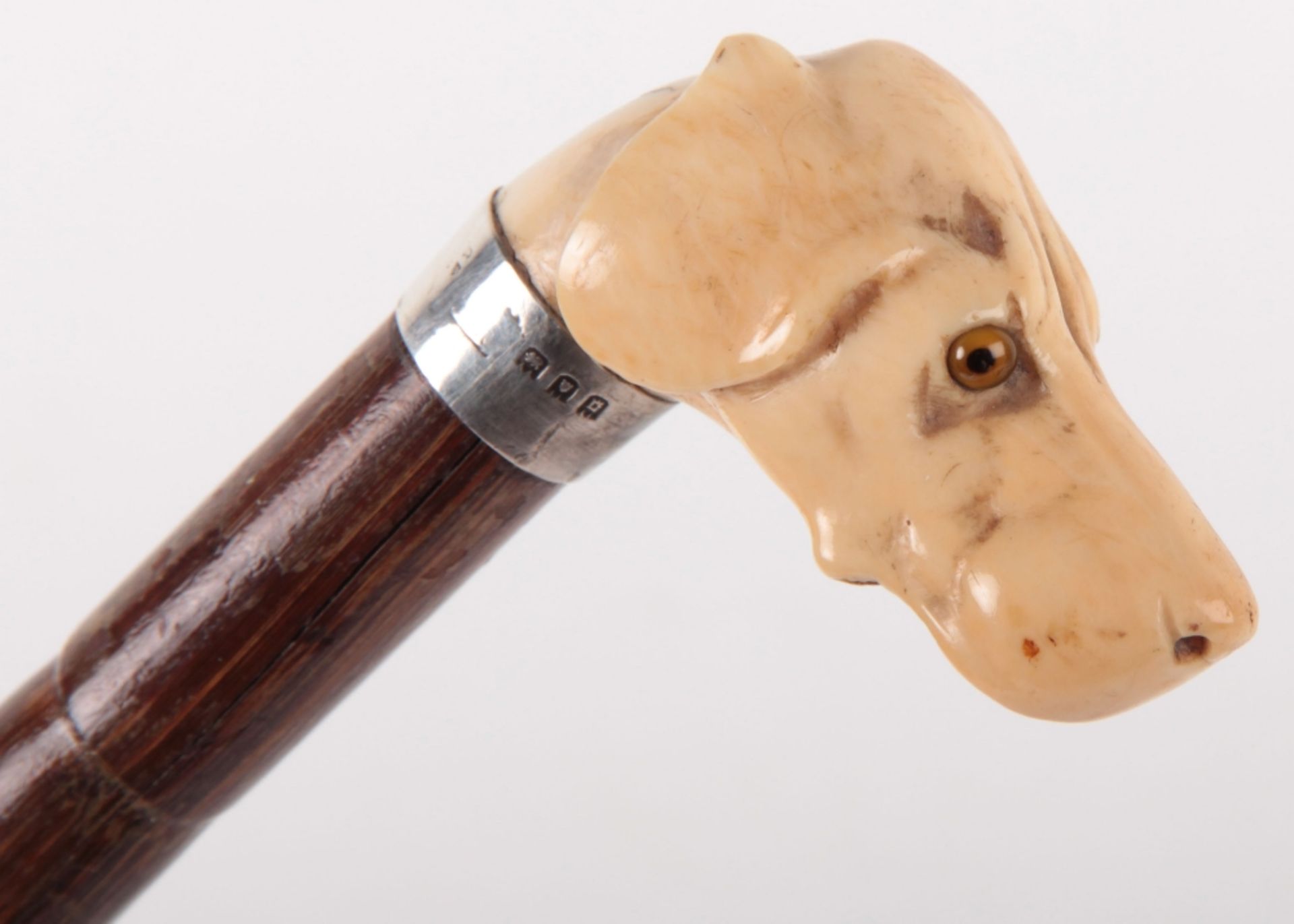 ^ Edwardian Walking Stick with Nicely Carved Ivory Dogs Head Handle - Bild 3 aus 9