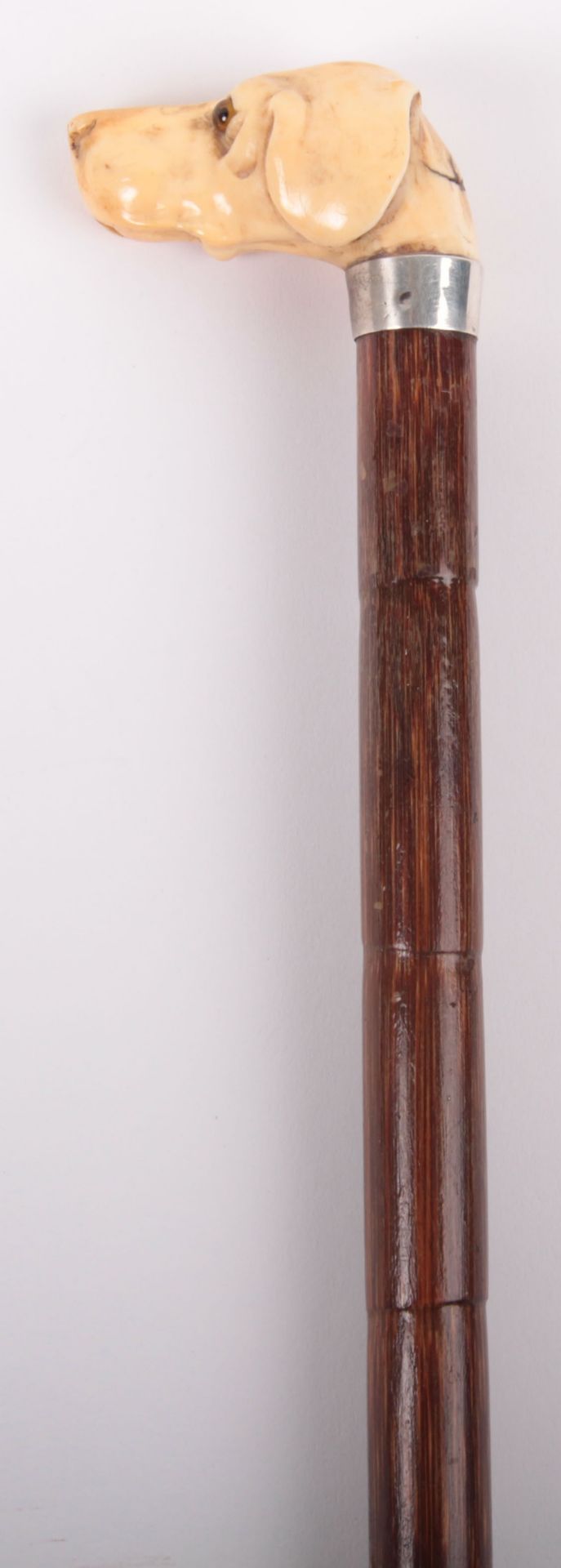 ^ Edwardian Walking Stick with Nicely Carved Ivory Dogs Head Handle