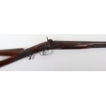 12-Bore Percussion Sporting Gun