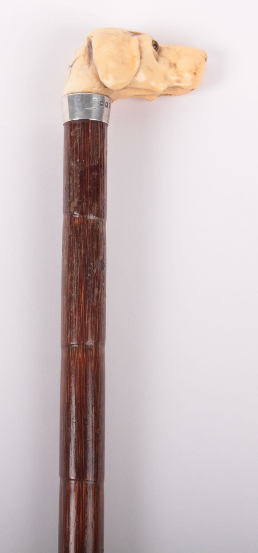 ^ Edwardian Walking Stick with Nicely Carved Ivory Dogs Head Handle - Image 9 of 9