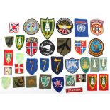 Foreign Military Cloth Badges