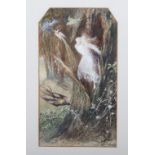 John Anster Fitzgerald (1819-1906) Sprite and birds, signed ‘J.A. Fitzgerald’ lower right, pencil wa