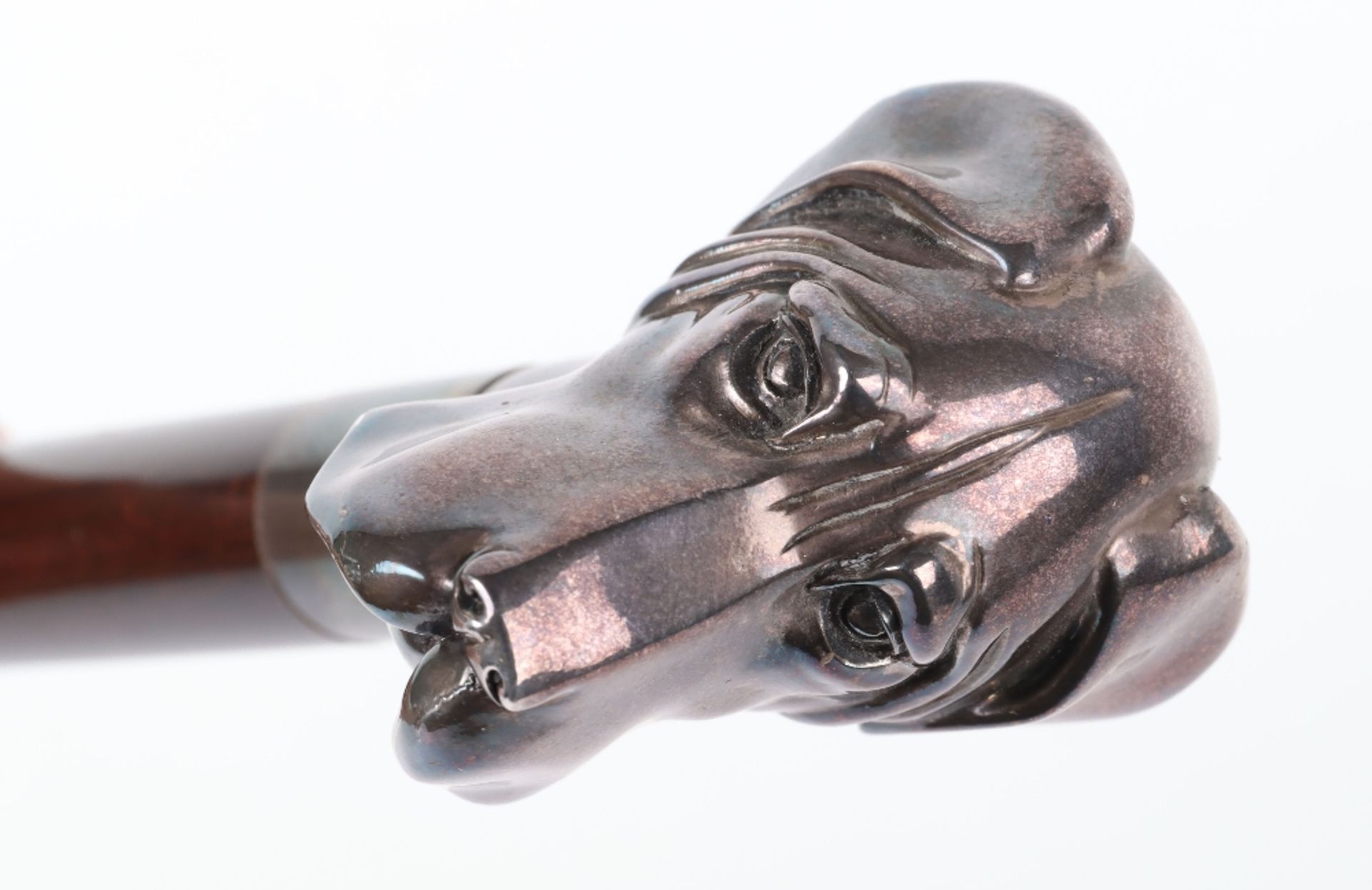 A silver dogs head walking cane - Bild 9 aus 10